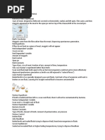 Bio Cell Theory