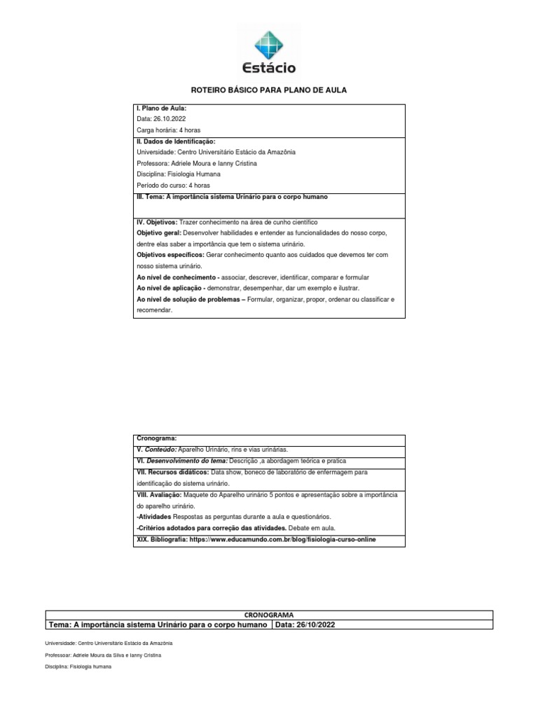 Roteiro Bã Sico Para Plano De Aula Pdf Pdf
