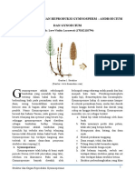 Embriologi - Struktur Dan Organ Reproduksi Gymnosperm Androecium