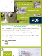 Tramites de Pedigri PDF