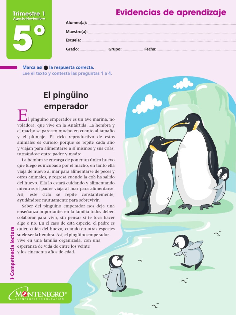 1EV 5º PagWeb T1 Español | PDF | Pingüino, image size:768x1024