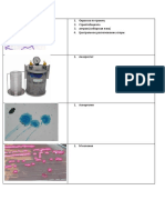 Микробиология картинки