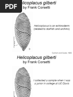 Byford Dolphin - Text | PDF | Anatomy