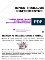 Pautas Trabajos Portafolio Aula 2022