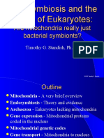 Powerpoint Endosymbiosis