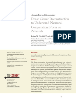 Dense Circuit Reconstruction To Understand Neuronal Computation: Focus On Zebrafish