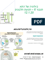 מצגת תגבור 6- תנועת חלבונים