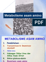Metabolisme Asam Amino dalam Tubuh