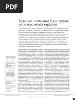 Download Molecular Mechanisms of Necroptosis an Ordered Cellular Explosion by daniginer SN61836952 doc pdf