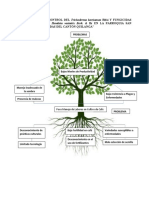 Arbol de Problemas y Soluciones