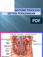 Refiew Anatomi Fisiologi Sistem Perkemihan