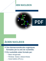 Tema 6. Àcids Nucleics