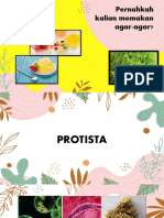 Protista