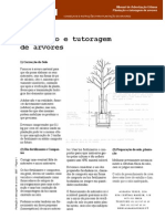 Plant Tutoragem Arvores