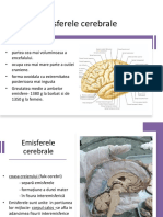 LP 10 Emisferele cerebrale- configuraie externa (1)