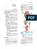 Histology of Kidney