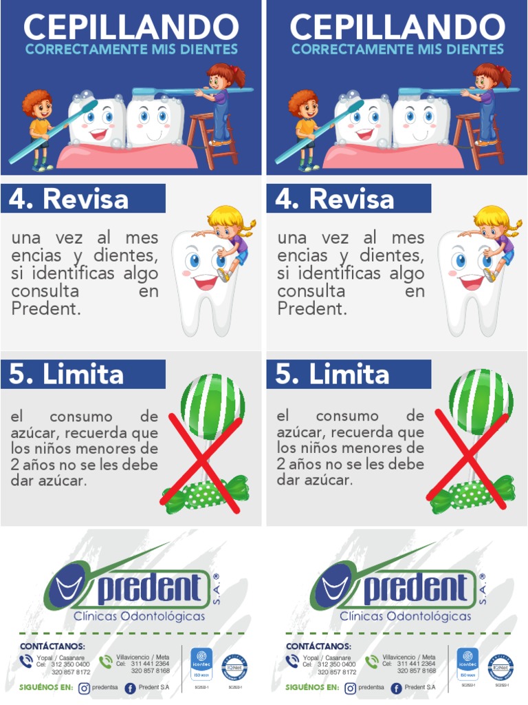Cepillando Dientes de Niños Predent | PDF | Química | Sustancias químicas