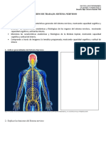 Cuaderno de Trabajo - Sistema Nervioso