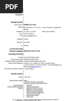 Model Cv European Completat Romana Pdf