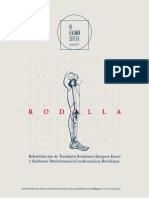 6287c48c9db5fef52a0df6cf - Protocolo Rehabilitación Tendinitis Rotuliana y Sd. PateloFemoral