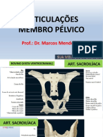 Membros Pelvicos Articulações