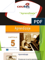 Cap. 5 Aprendizaje