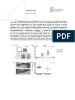 TBL1, Sección 2 Filtración Glomerular y Túbulo Proximal