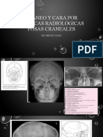 Clase 1 Craneo y Cara Por Técnicas Radiológicas