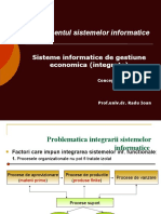 Curs 11 - SIGE Integrate