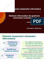 Curs 12 - SIGE Strategice