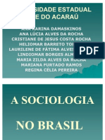 A Sociologia No Brasil Power