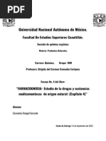 Ensayo Capítulo 4. Caracteristícas Micrográficas de Las Drogas