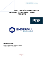 EMSERMUL - Informe de Seguridad Diciembre