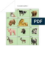 Animales Mamiferos Computo Tarea