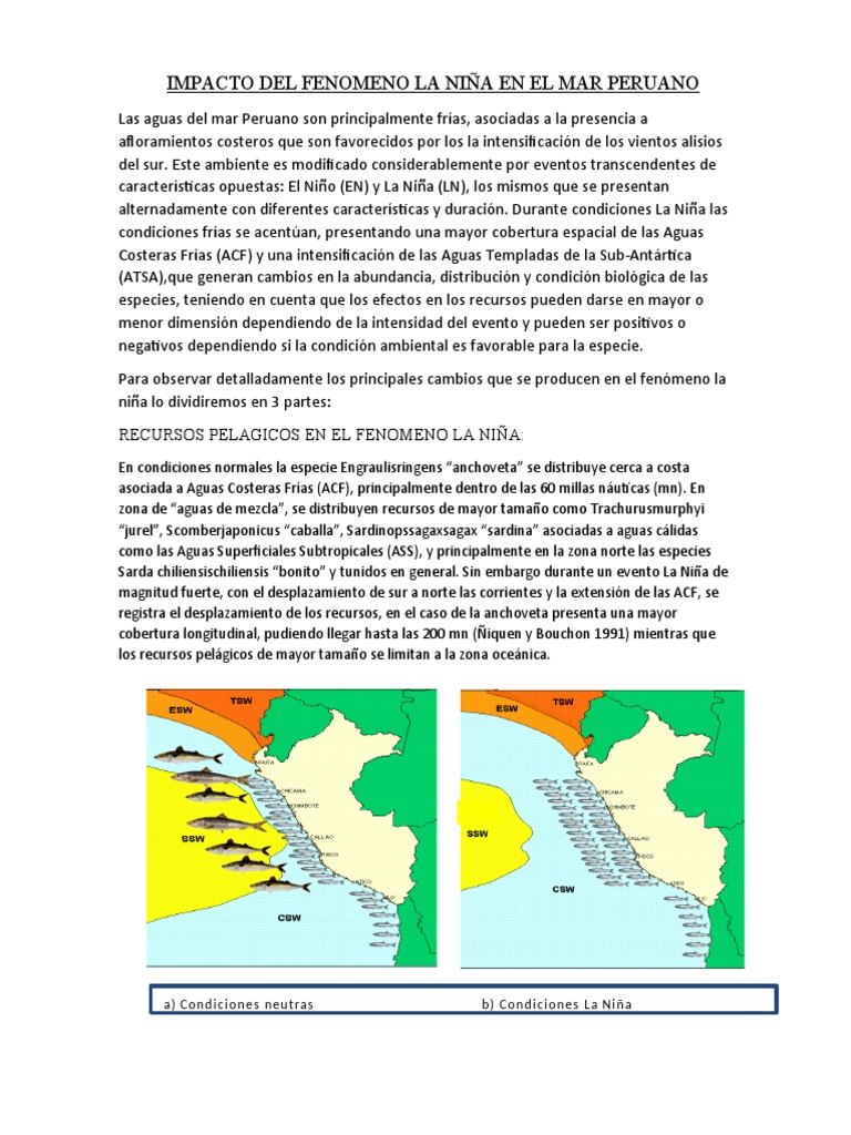 Impacto Del Fenomeno La Niña en El Mar Peruano | PDF | El niño ...