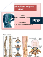 HNP by nurul