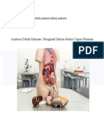 Anatomi Tubuh Manusia (JULIANTI)
