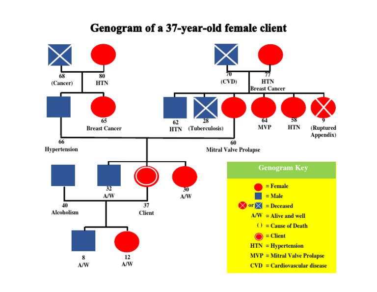 Genogram GR 3 Health Assessment BS NURSING1 PDF