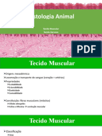 Histologia Animal: Tecido Muscular Tecido Nervoso