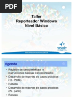 Download 01_ReporteadorWindowsNivelBasico by Ale Bixler SN61846583 doc pdf