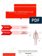 Sistema cardiovascular: corazón, vasos sanguíneos y ciclo cardiaco