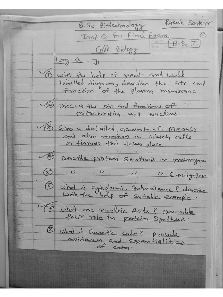 Imp Questions | PDF