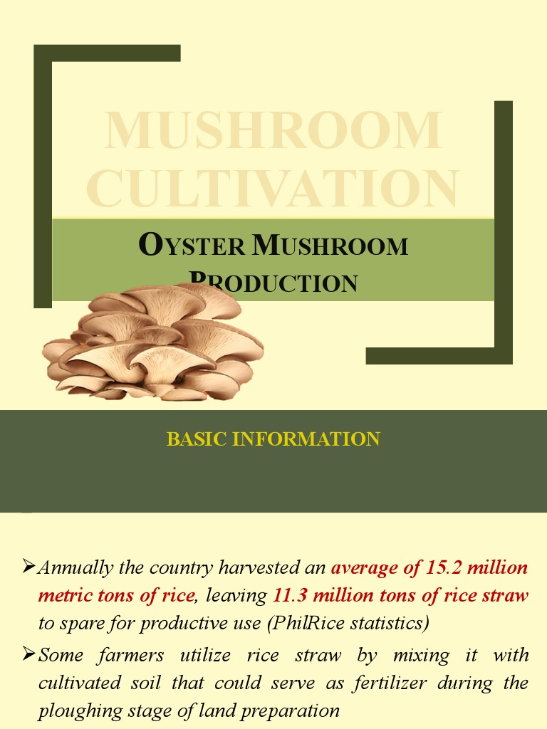 Lecture On Mushroom Cultivation PDF Edible Mushroom Rice