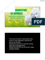 Animal Reproduction