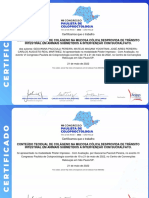 Certificado Apresentação VI Congresso Paulista