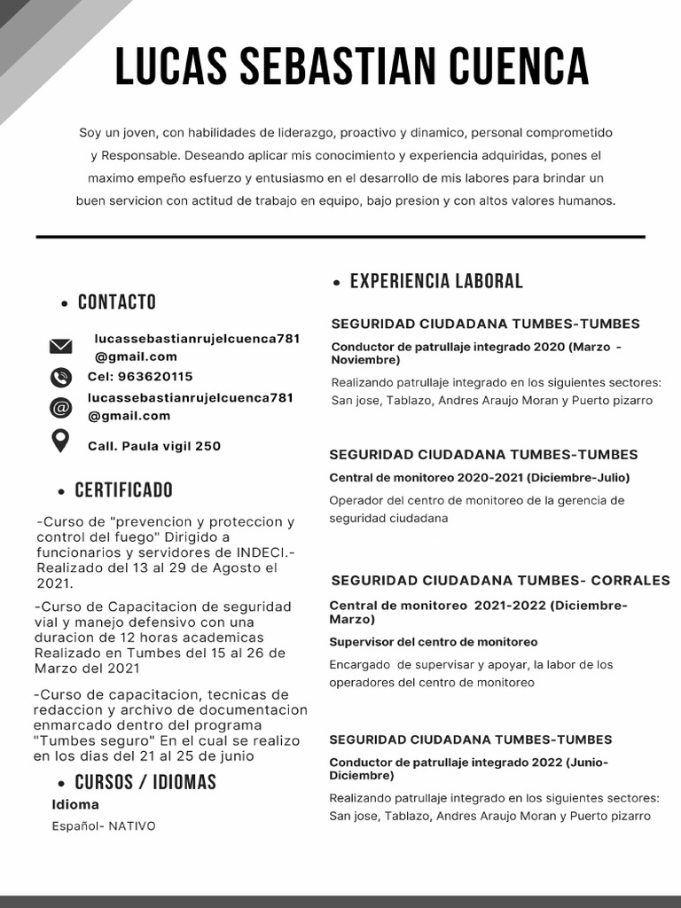 CV Lucas | PDF