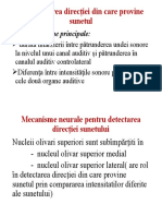 Determinarea Direcției Din Care Provine Sunetul LiseviciElena