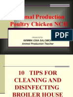 Tips For Cleaning and Disinfecting Broiler House