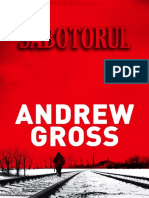 Andrew Gross-Sabotorul 