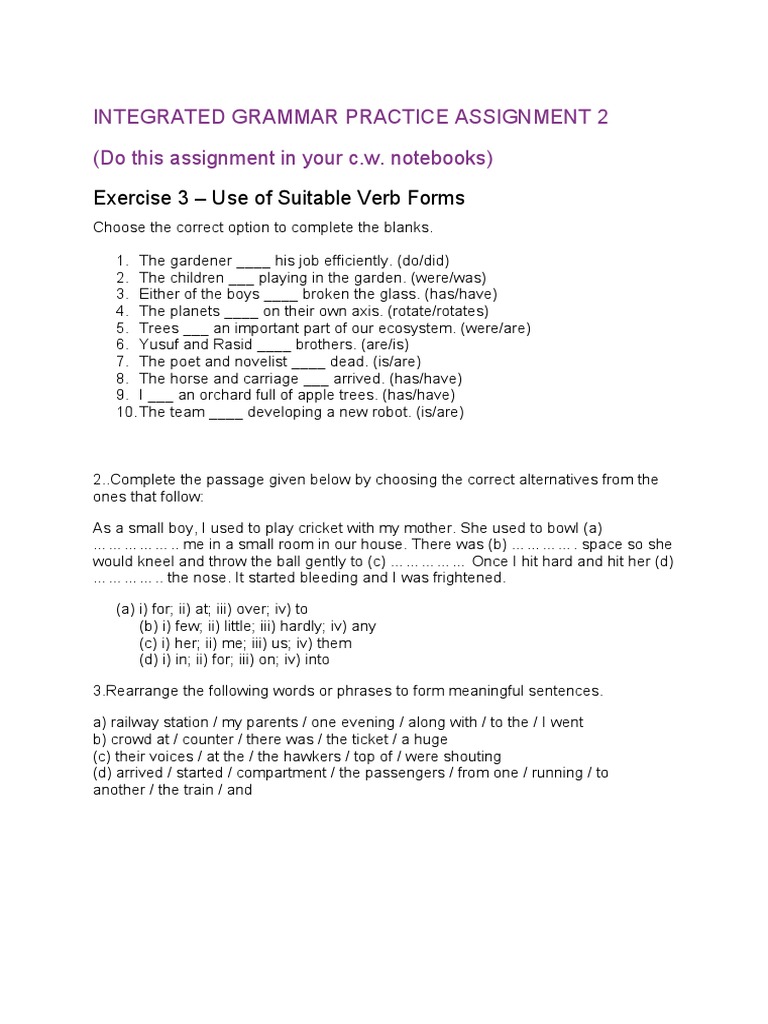 Integrated Grammar Practice Assignment 2 PDF